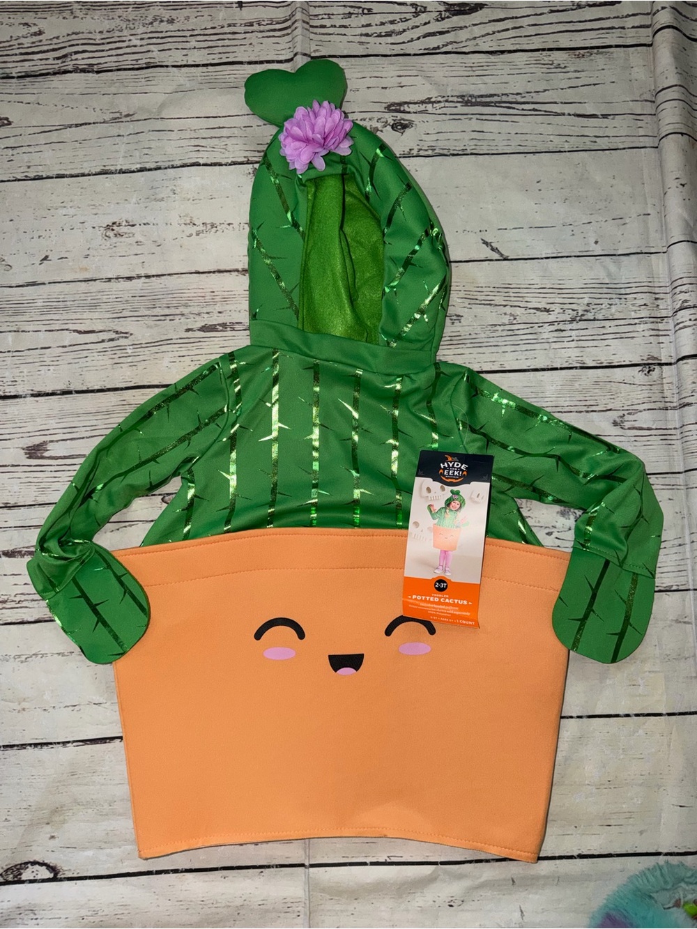 Kids Green Cactus Pot Costume with Peach Planter